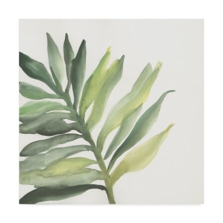 Trademark Fine Art Chris Paschke 'Tropical Palm Iii' Canvas Art, 35x35 WAP05639-C3535GG